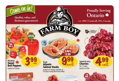 Farm Boy Flyer June 19 to 25