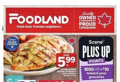 Foodland (ON) Flyer June 19 to 25