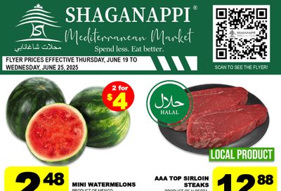 Shaganappi Mediterranean Market Flyer June 19 to 25