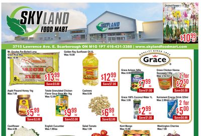 Skyland Food Mart Flyer June 20 to 26