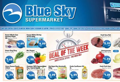 Blue Sky Supermarket (North York) Flyer June 20 to 26