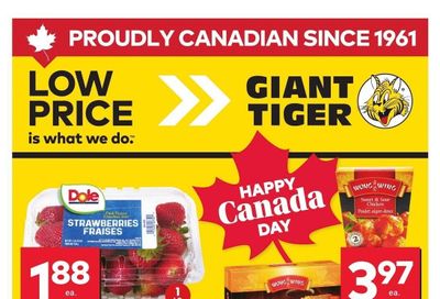 Giant Tiger (ON) Flyer June 25 to July 1