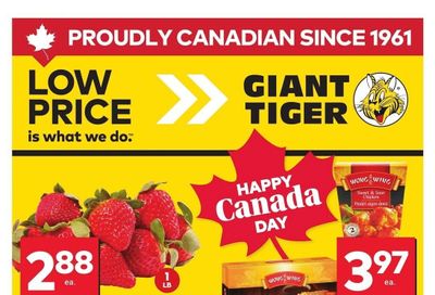 Giant Tiger (Atlantic) Flyer June 25 to July 1