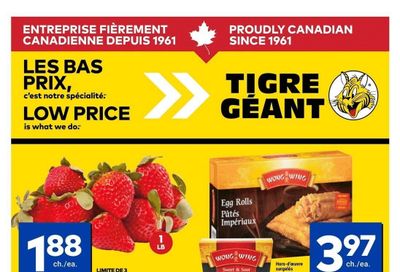 Tigre Géant Flyer June 25 to July 1