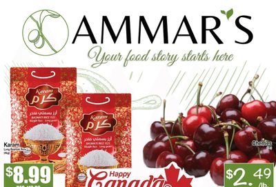Ammar's Halal Meats Flyer June 26 to July 2