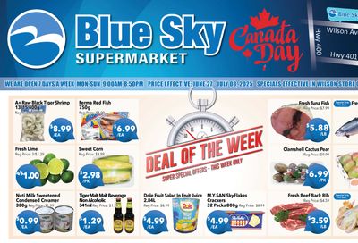 Blue Sky Supermarket (North York) Flyer June 27 to July 3