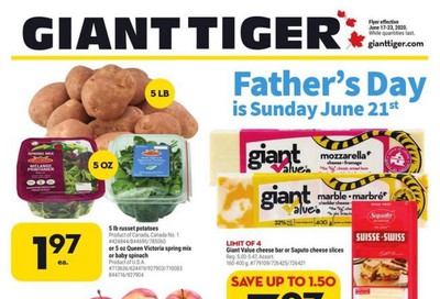 Giant Tiger (ON) Flyer June 17 to 23