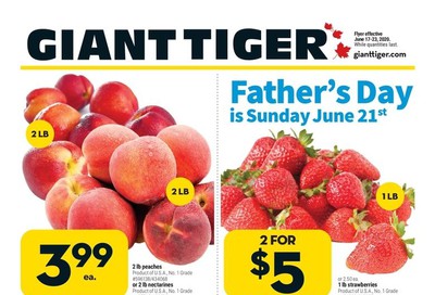 Giant Tiger (West) Flyer June 17 to 23