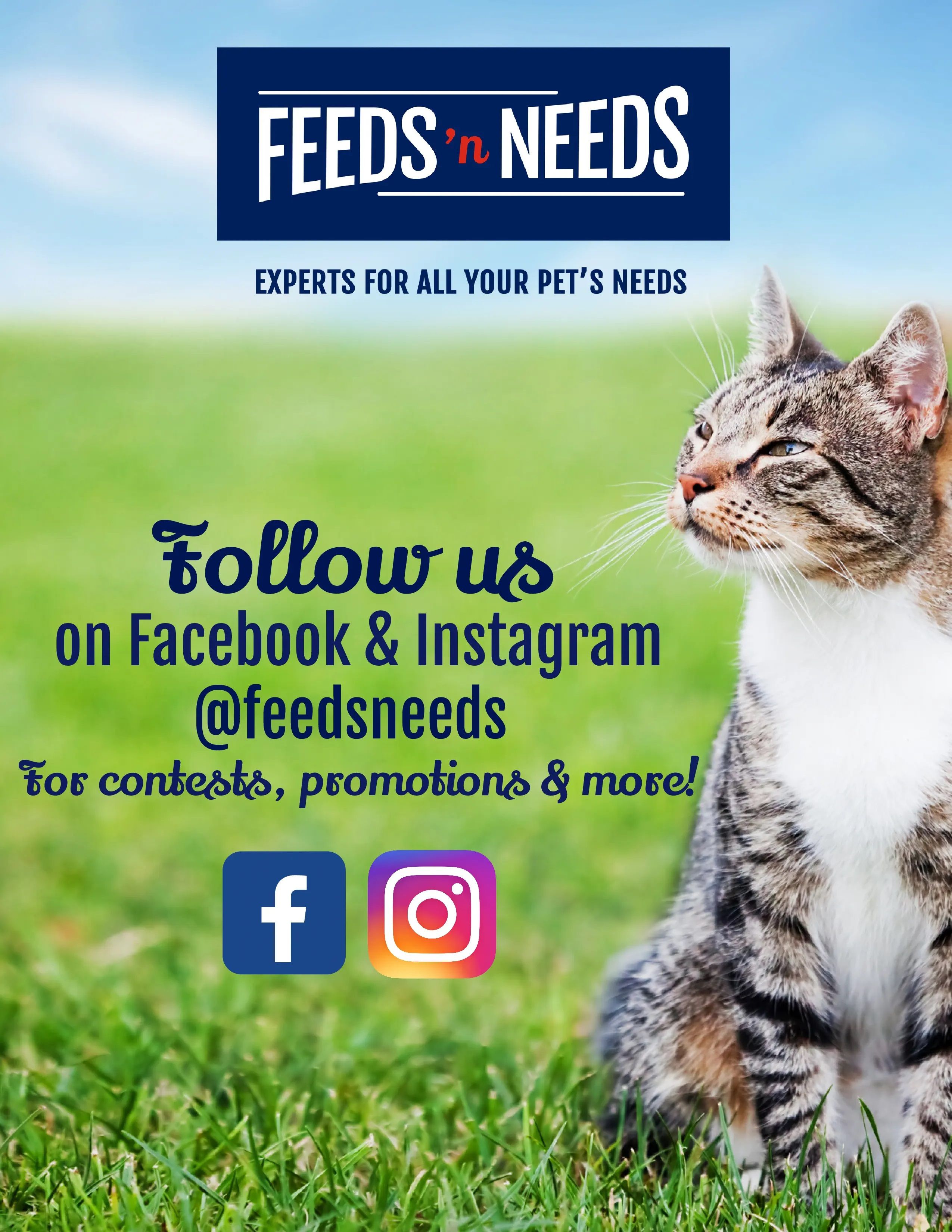 ShurGain Feeds'n Needs Flyer June 10 to 17