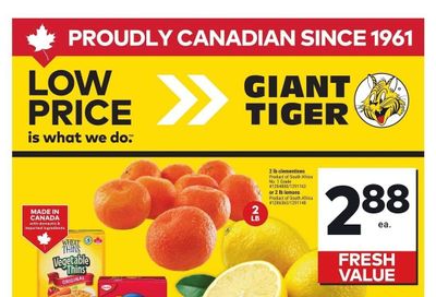 Giant Tiger (ON) Flyer July 2 to 8