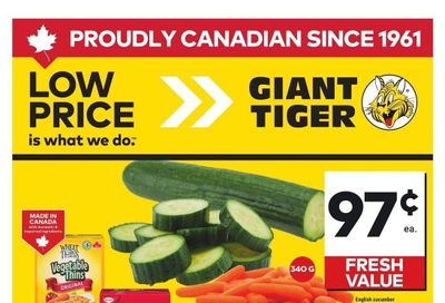 Giant Tiger (West) Flyer July 2 to 8