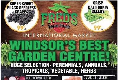 Fred's Farm Fresh Flyer June 17 to 23