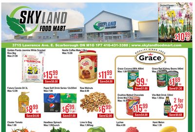 Skyland Food Mart Flyer July 4 to 10
