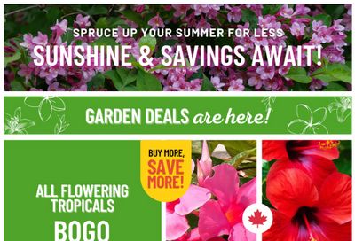 Lakeside Garden Gallery Flyer July 4 to 10