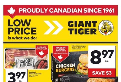 Giant Tiger (ON) Flyer July 9 to 15