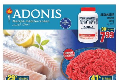 Marche Adonis (QC) Flyer July 10 to 16