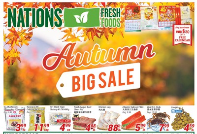 Nations Fresh Foods (Vaughan) Flyer November 8 to 14