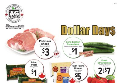 AG Foods Flyer July 11 to 17