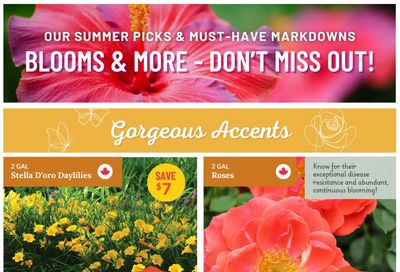 Lakeside Garden Gallery Flyer July 11 to 17 Lakeside Garden Gallery Flyer July 11 to 17