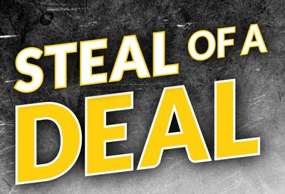 Princess Auto Steal of a Deal Flyer July 15 to 27