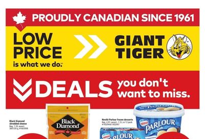 Giant Tiger (Atlantic) Flyer July 16 to 22