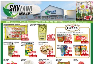 Skyland Food Mart Flyer July 18 to 24