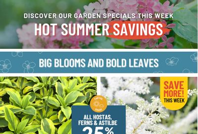 Lakeside Garden Gallery Flyer July 18 to 24 Lakeside Garden Gallery Flyer July 18 to 24