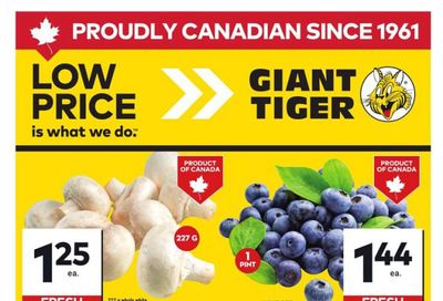 Giant Tiger (ON) Flyer July 23 to 29