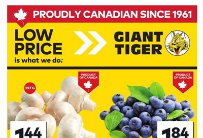 Giant Tiger (Atlantic) Flyer July 23 to 29