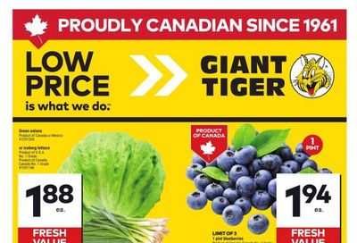 Giant Tiger (West) Flyer July 23 to 29