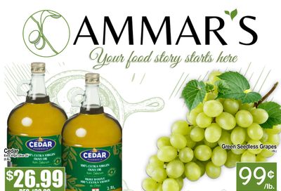 Ammar's Halal Meats Flyer July 24 to 30