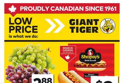 Giant Tiger (ON) Flyer July 30 to August 5