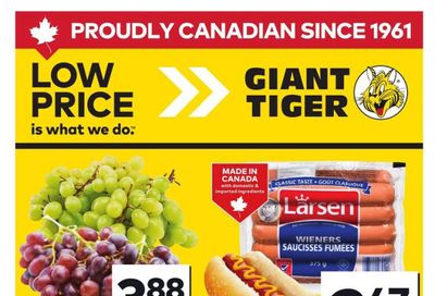 Giant Tiger (Atlantic) Flyer July 30 to August 5