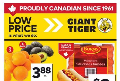 Giant Tiger (West) Flyer July 30 to August 5