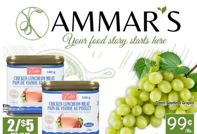 Ammar's Halal Meats Flyer July 31 to August 6