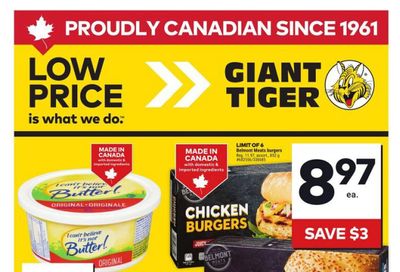 Giant Tiger (Atlantic) Flyer August 6 to 12