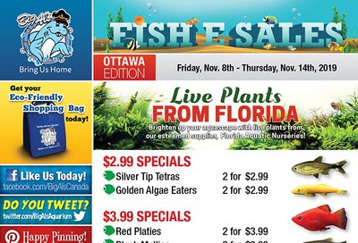 Big Al's (Ottawa East) Weekly Specials November 8 to 14