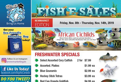 Big Al's (Newmarket) Weekly Specials November 8 to 14