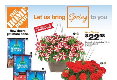 Home Depot (ON) Flyer June 18 to 24