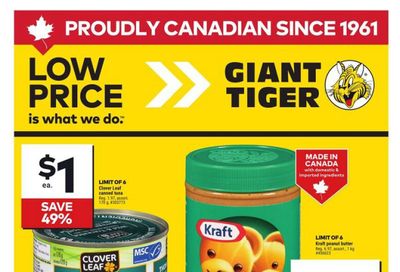 Giant Tiger (ON) Flyer August 13 to 19