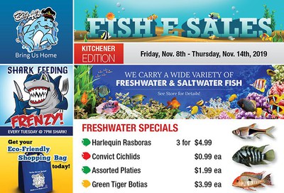 Big Al's (Kitchener) Weekly Specials November 8 to 14