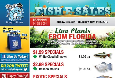 Big Al's (Brampton) Weekly Specials November 8 to 14