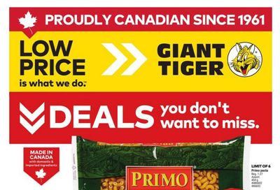Giant Tiger (West) Flyer August 20 to 26