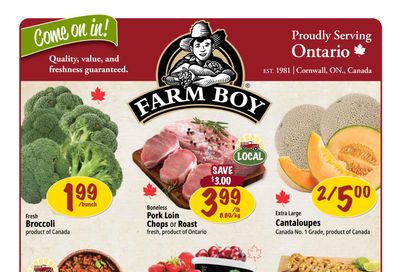 Farm Boy Flyer August 21 to 27