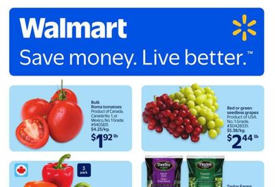 Walmart (ON) Flyer August 21 to 27