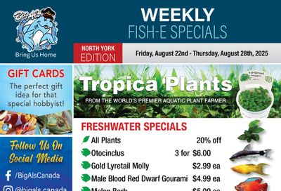 Big Al's (North York) Weekly Specials August 22 to 28