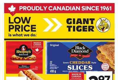 Giant Tiger (Atlantic) Flyer August 27 to September 2