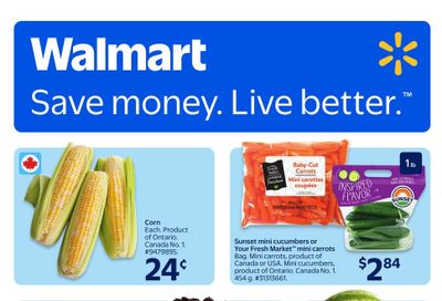 Walmart (ON) Flyer August 28 to September 3