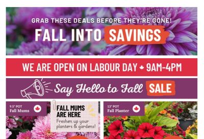 Lakeside Garden Gallery Flyer August 29 to September 4