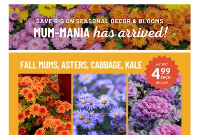 Lakeside Garden Gallery Flyer September 5 to 11